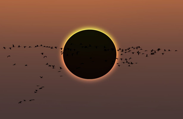 Sonnenfinsternis am Ballermann Live - Das Himmelsspektakel des Jahrzehnts