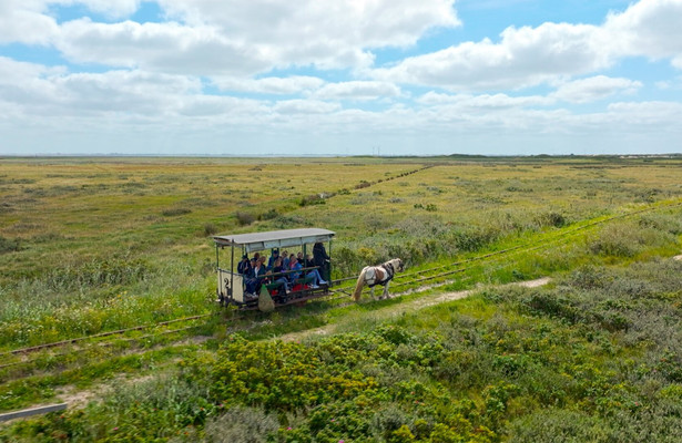 Spiekeroog