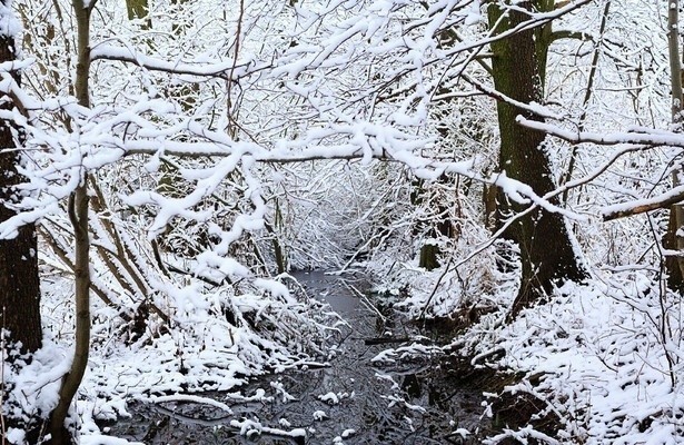 Geo Reportage: Spreewald - Kähne, Köche, Klapperstörche