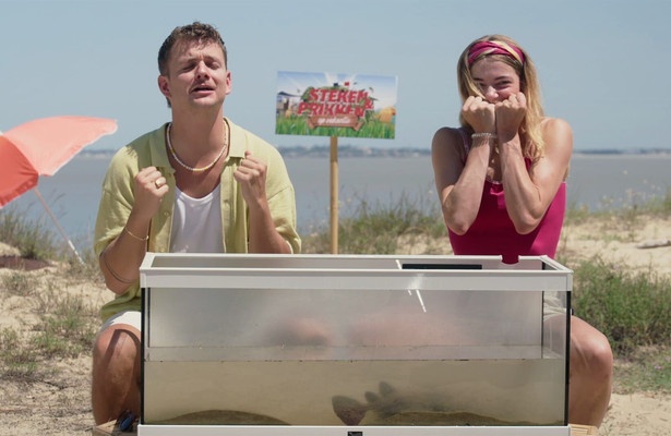 Steken en prikken in Zuid-Afrika