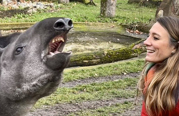 Superkraft Charisma - So mächtig und so manipulativ