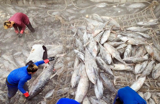 Sushi-Hunger - Lifestyle mit Schattenseiten