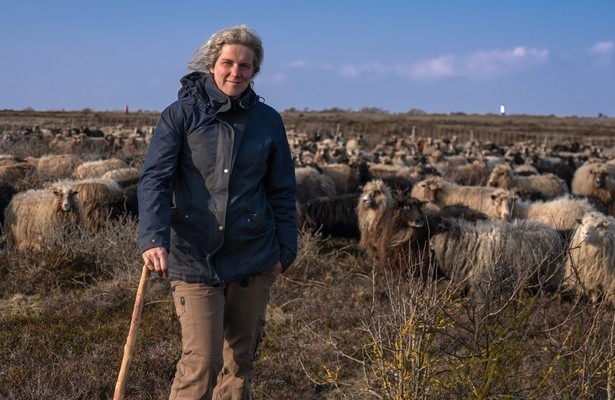Sylt - Wellen, Wind und Watt