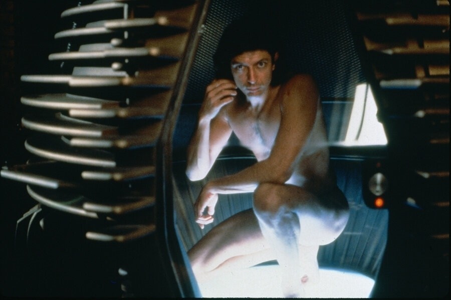 The Fly