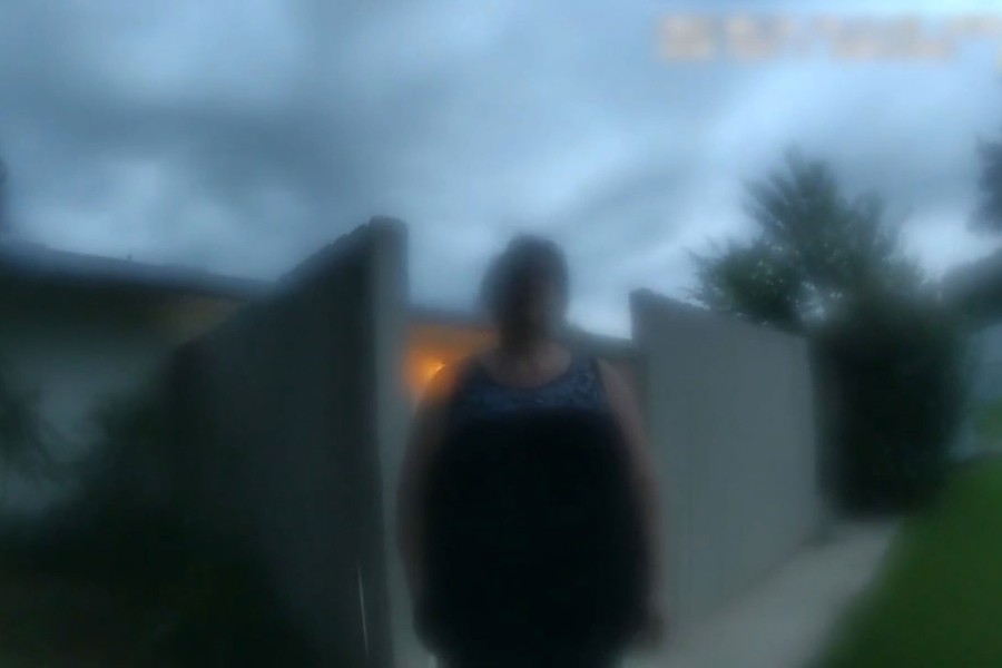 The Perfect Neighbor