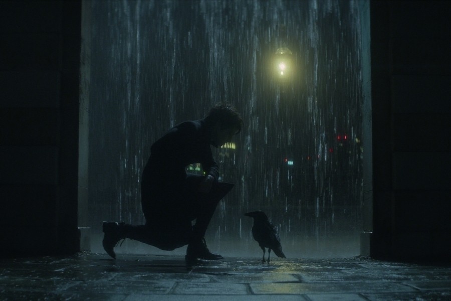 The Sandman