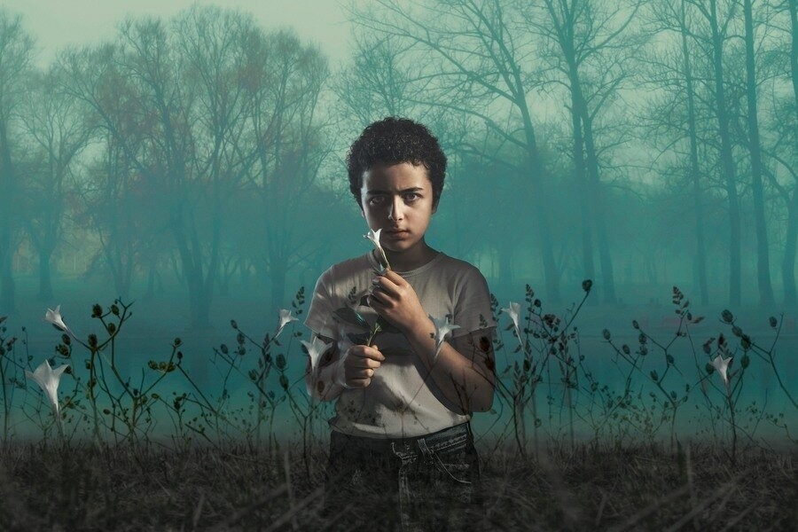 The Sinner