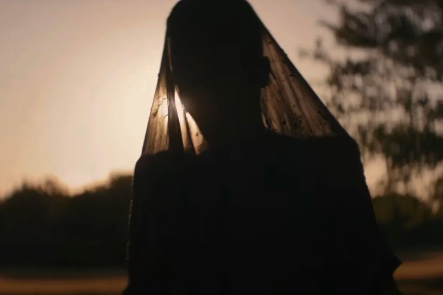 The Woman in the Yard