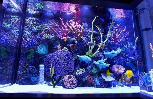 Tanked