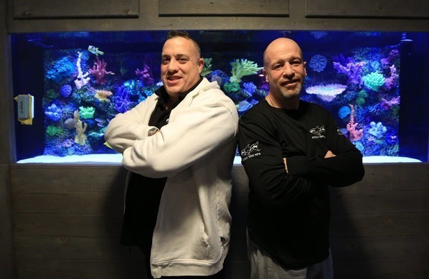 Tanked