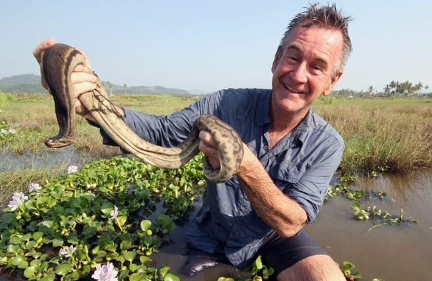 Ten deadliest snakes with Nigel Marven
