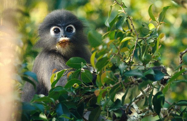 Kui Buri - Thailands unbekanntes Eden