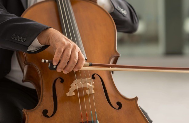 The 12 Cellists of the Berliner Philharmoniker