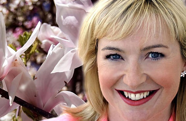 The A to Z of tv gardening