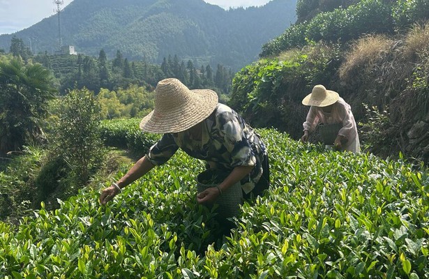 The Chinese Dream - 24 h junges China