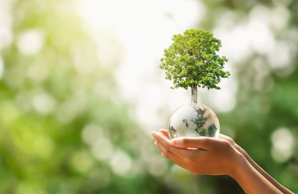 The Climate Question