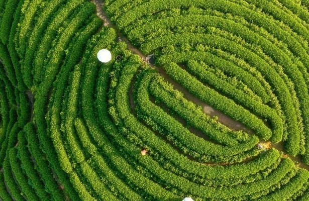 The forever walk: China