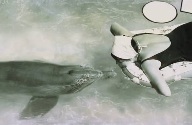 The girl who talked to dolphins