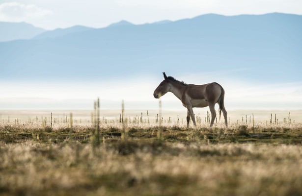 The hidden kingdoms of China