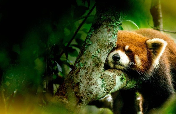 The hidden kingdoms of China: Compilation