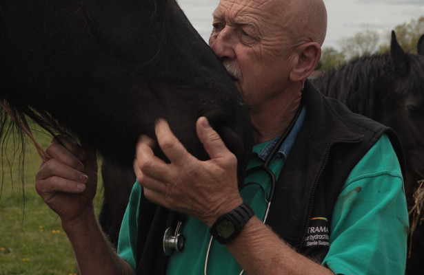 The incredible dr. Pol