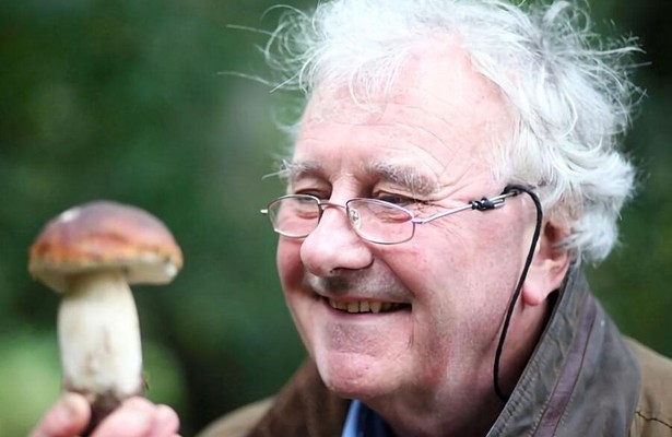 The magic of mushrooms