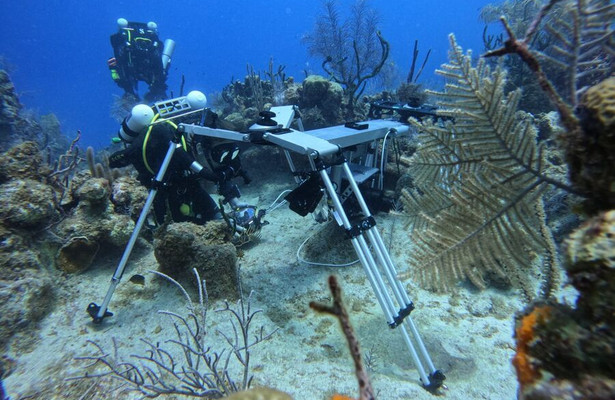 The making of Planet Earth III