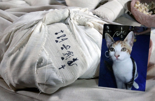 The Nile: Egypt's Great River with Bettany Hughes