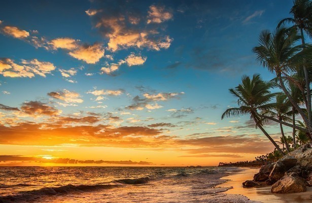 The Real Death In Paradise