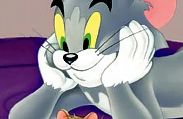 The Tom & Jerry Show