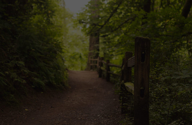 The Wonderland murders