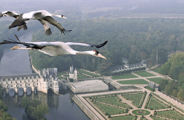 The world from above