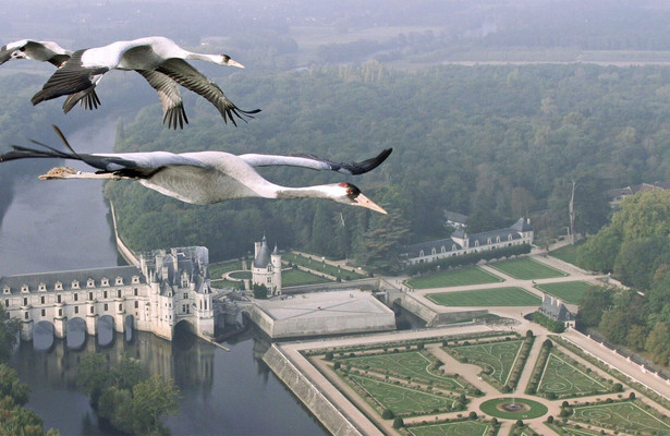 The world from above