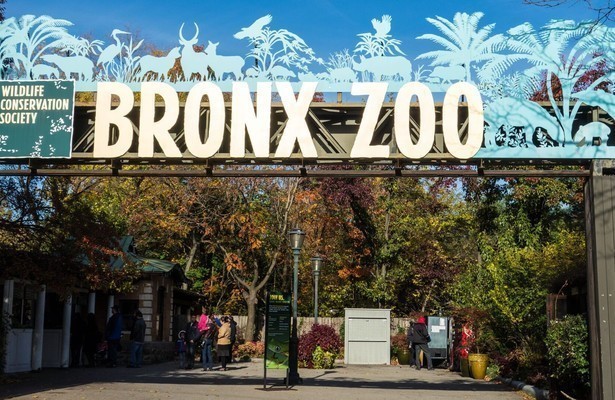 The zoo