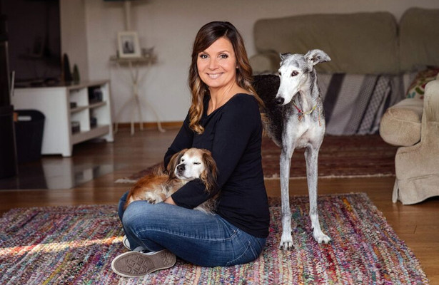 Tiere suchen ein Zuhause