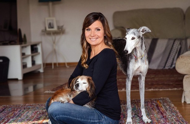 Tiere suchen ein Zuhause