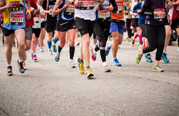 Trail World Series