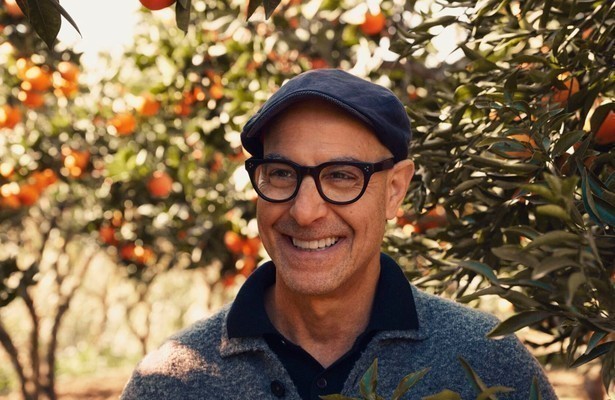 Tucci in Italy