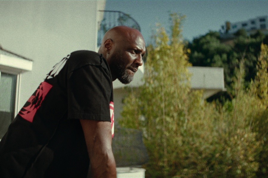 Untold: The Death & Life of Lamar Odom