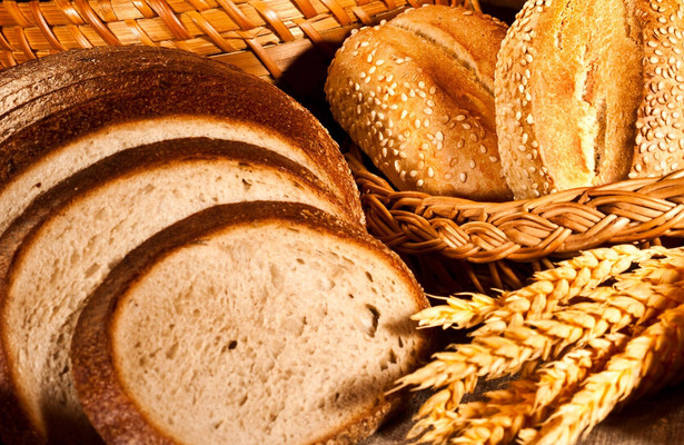 Übers Land - mit der mobilen Haustierpraxis, Käserei und Bäckerei