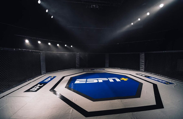 UFC fight night in Paris: Hooker vs Parnasse