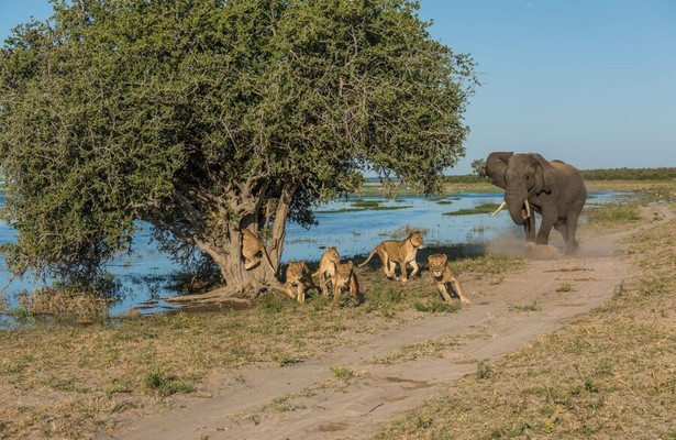 Ultimate enemies (revealed)