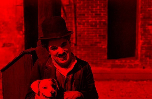 Une vie de chien