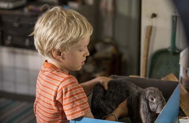 Unsere Ferien auf Saltkrokan
