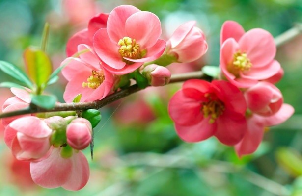 Unsere Frühlingsgeschichten: Vom Osterhasen, Bienen und Heiligem Geist