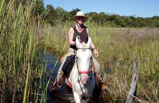 Unter Raubkatzen und Ameisenbären