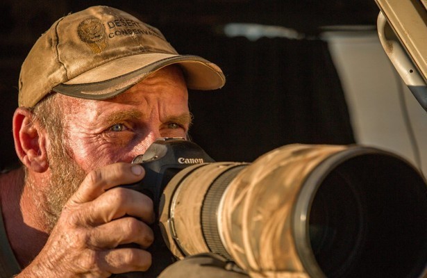 Vanishing kings: Desert lions of Namib