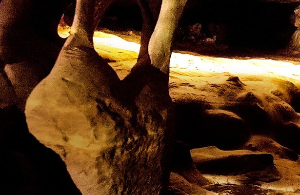 Venezuelas Tafelberge - Expedition ins Haus der Götter