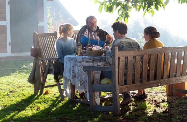 Viele Kühe und ein schwarzes Schaf