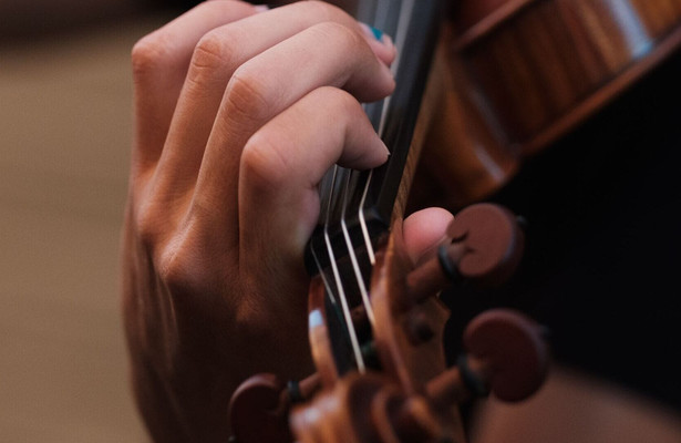 Violist zonder viool